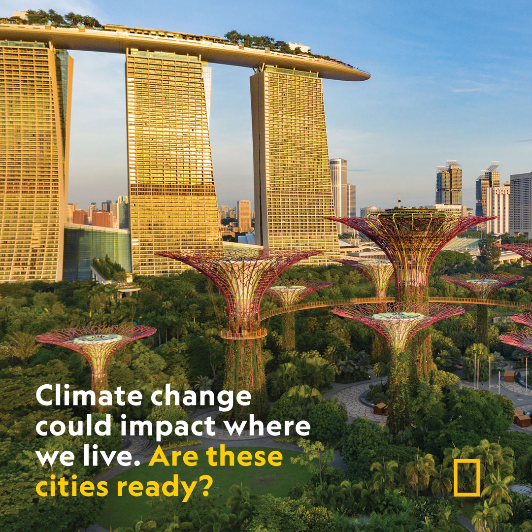 In the future, cities that survive climate change could be full of green spaces, smart buildings, and compact neighborhoods. on.natgeo.com/47yuijt