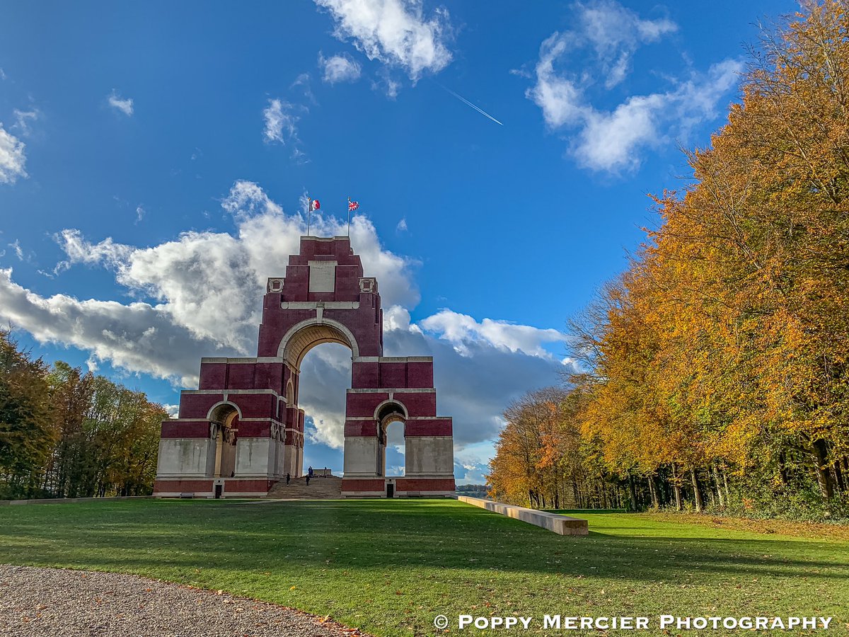 Poppy Mercier tweet media