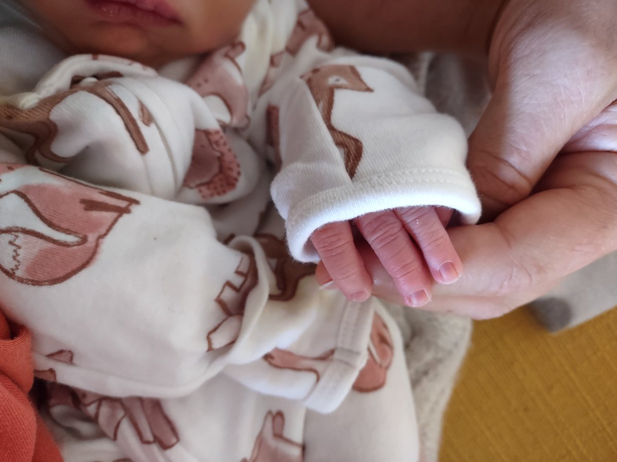 Dr. Irene Salinas Remiro tweet media