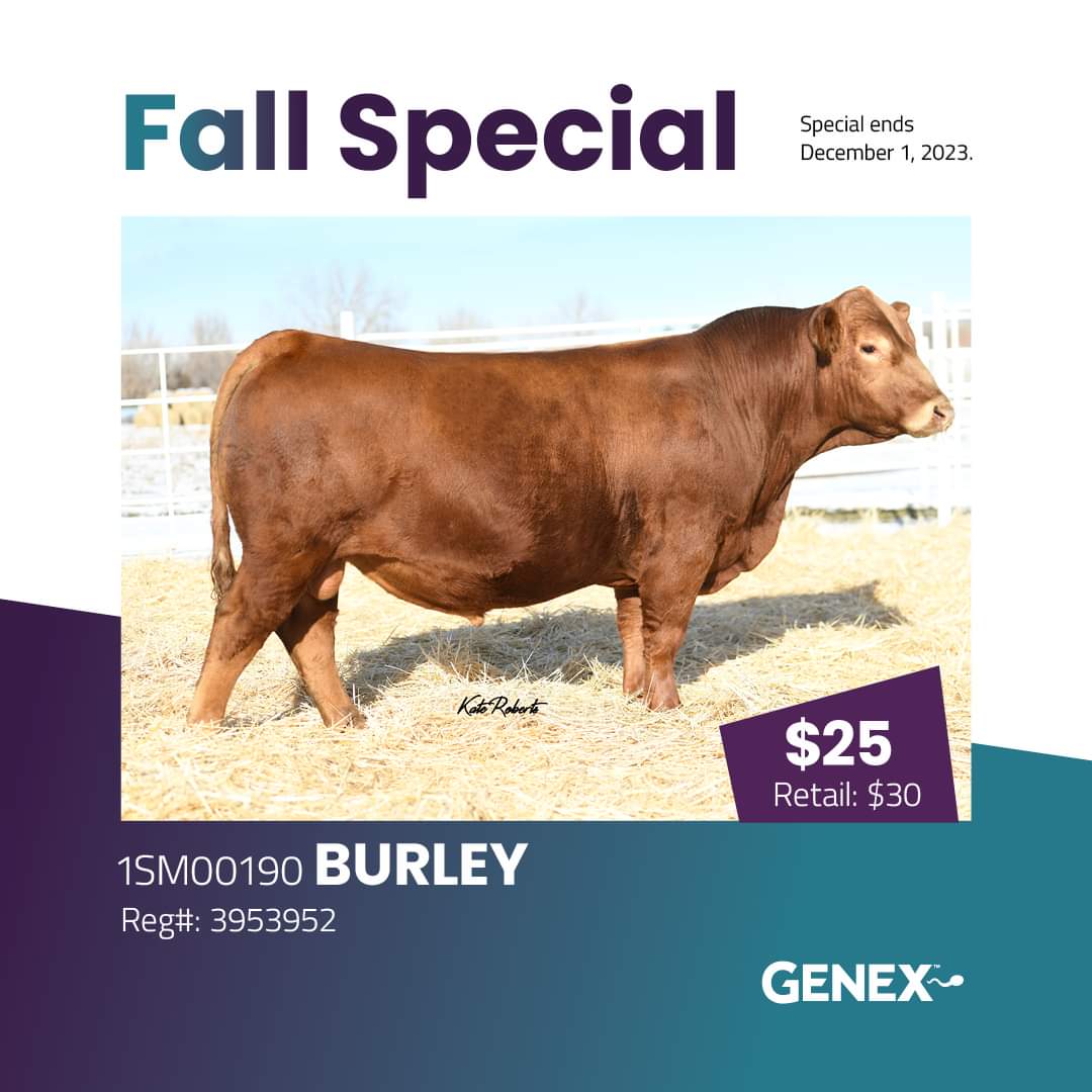 Genex Canada Beef tweet media