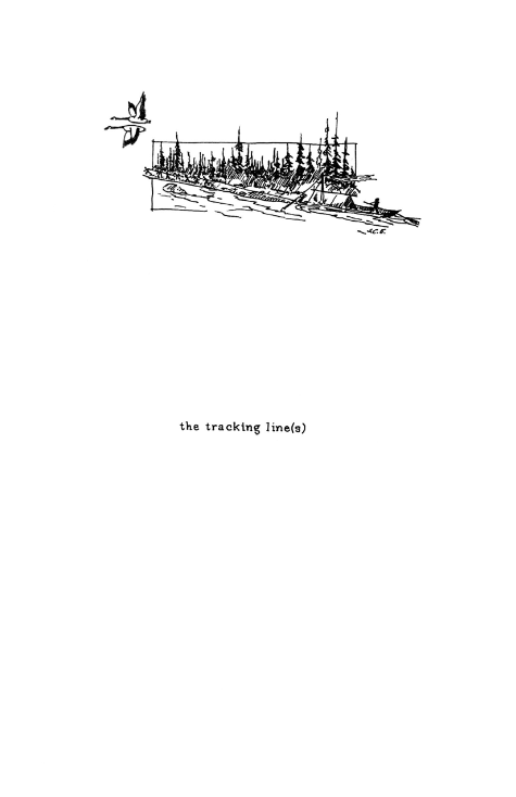 Low-Carbon Methods Group tweet media