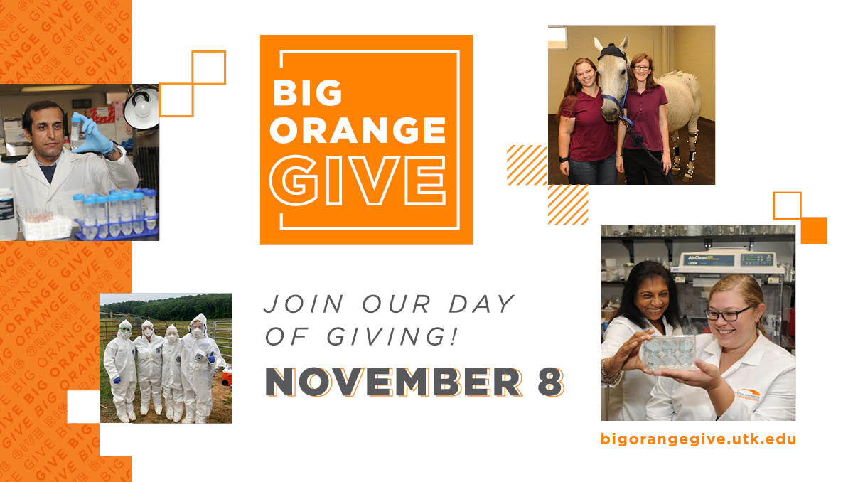 For 11 years, Vols have been supporting the comparative and experimental medicine graduate program during #bigorangegive – join in today and support your fellow Vols! bigorangegive.utk.edu