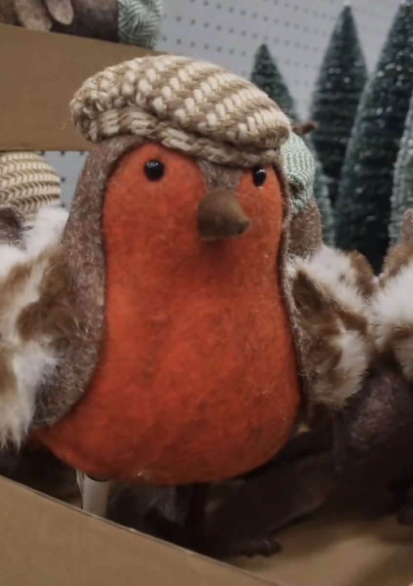 Tony__Yorkshire's tweet image. Yorkshire Robin in @BandQ!  #Eyup #FlatCap