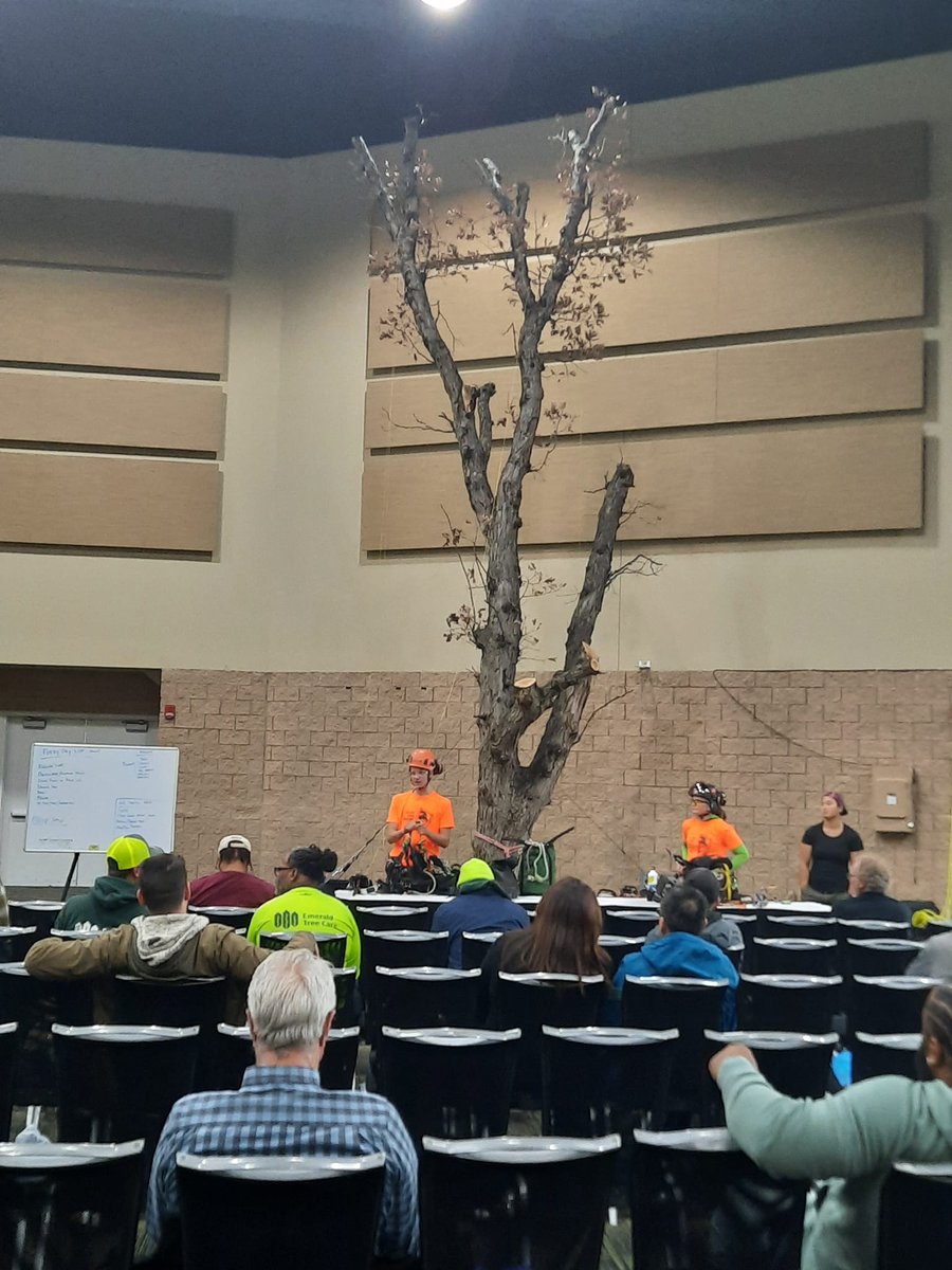 TREE Fund tweet media