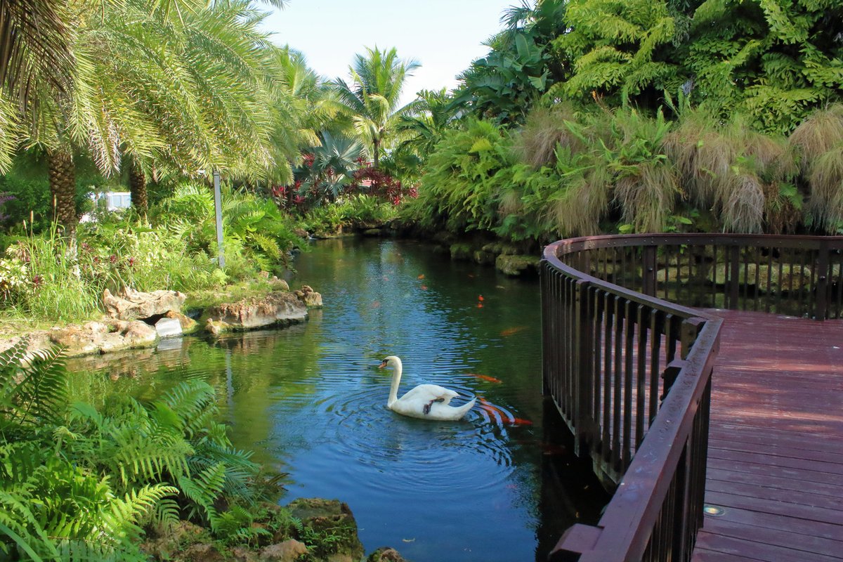 filmmiami_'s tweet photo. Spotlight on Locations: By Brothers
By Brothers is an icon of nature with unparalleled views and landscapes located in South Miami-Dade, it has a petting farm, aviary, and more.
#bybrothers #OurCounty @MiamiDadeCounty #FilMiami #GlobalDestination #SouthDade https://t.co/10Sqmr3g9A