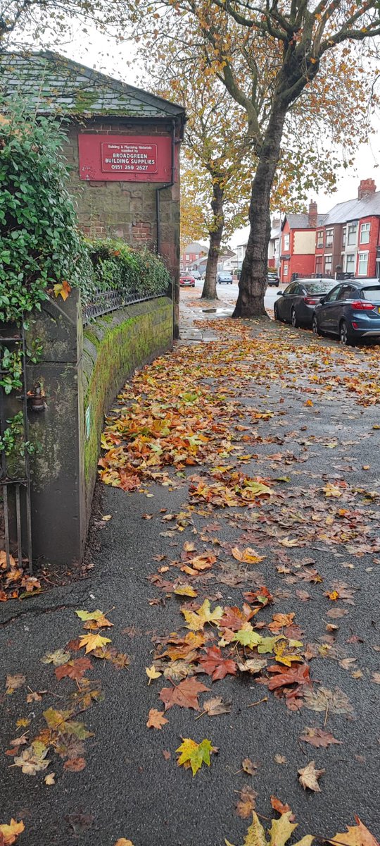 lpool_LSSL's tweet photo. #WednesdayWork | Today's clearance of autumn #LeafFall 🍂 

Central reservation leaves have been delivered to Chapel House Farm Allotments today to be used as compost &amp; on garden beds ♻️ update to follow 

#LeafFallCollection #LeafClearance #AutumnLeaves #WinterMaintenance https://t.co/Z0SWCph06C