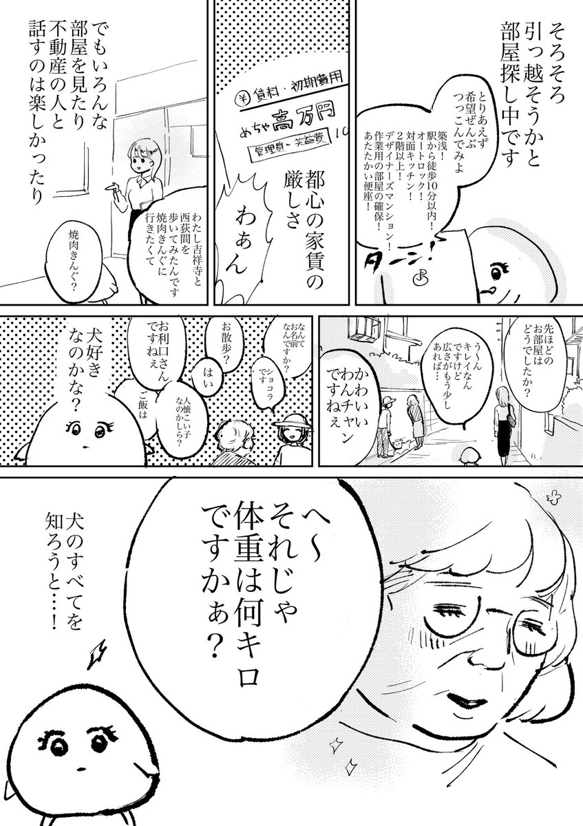 エッセイ