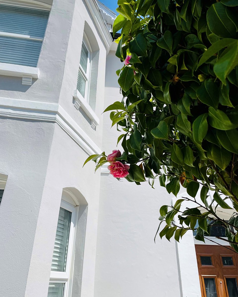 Imagine if your home kept its newly painted look for years to come...

With our self-cleaning formulation, you don't have to imagine anymore.

📸: Harriet Bates

#EmperorPaint