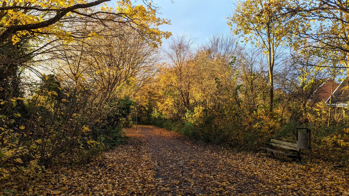 Johan // Raw Fury tweet media