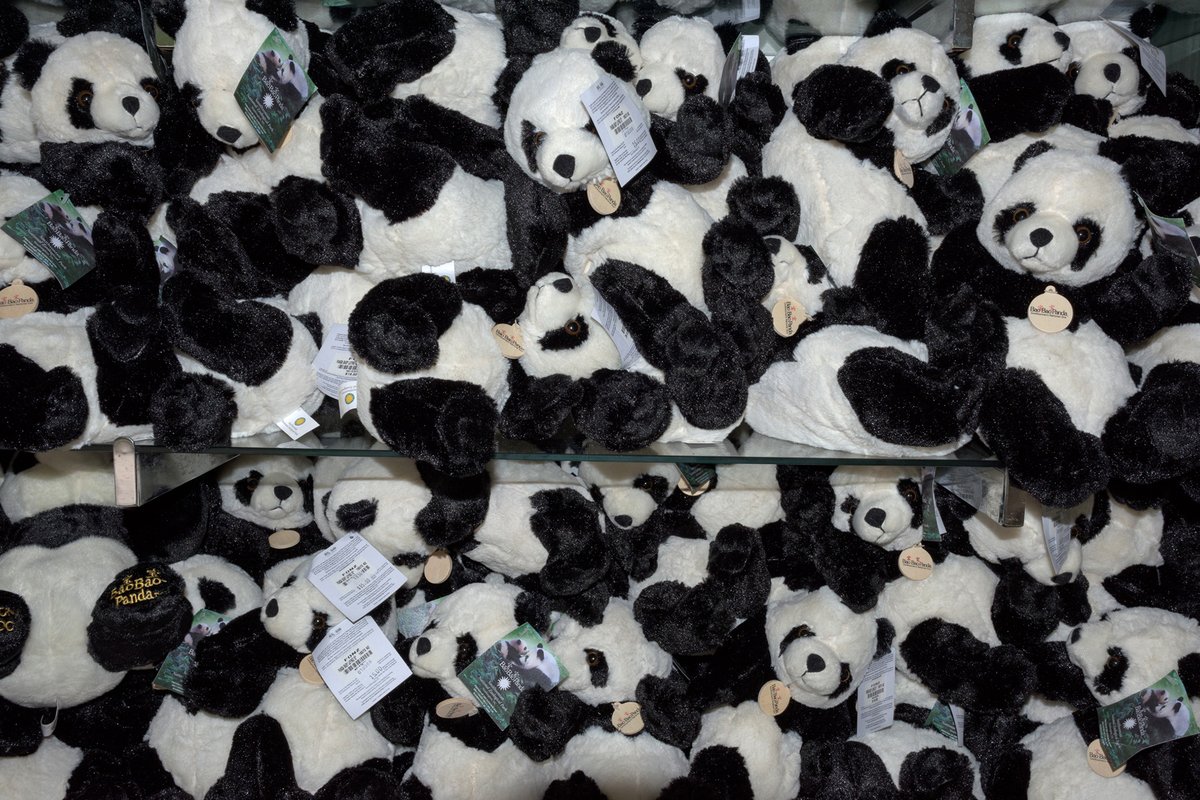 yospyn's tweet photo. I'm sure the panda merchandise will stick around. https://t.co/LUigVynVCM