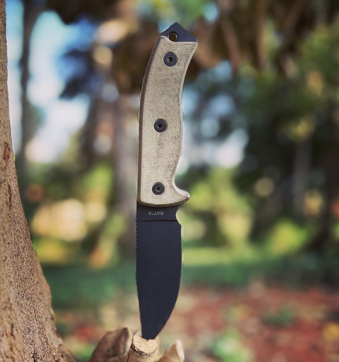 OntarioKnife's tweet photo. Is the #RAT3 just a bit too small? The #RAT7 is just too big for what you need? The #RAT5 is that perfect middle ground between compact and large choppers! 👌🏽🔪🐀
Legacy. Adventure. Explore.
#ontarioknifecompany #ontarioknife #ontarioknives #ontarioknifeco #OKC1889  #MadeinUSA https://t.co/61DRw41Fky