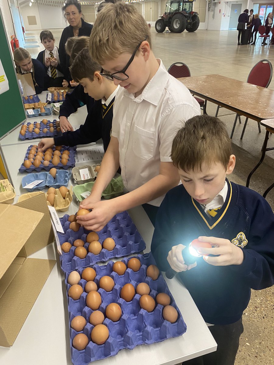 Year5OLOL tweet media