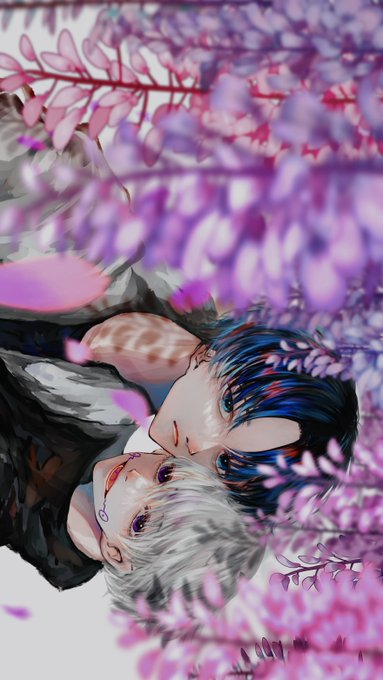 「petals wisteria」 illustration images(Latest)