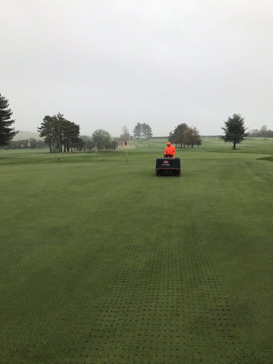 Tom Freeman tweet media