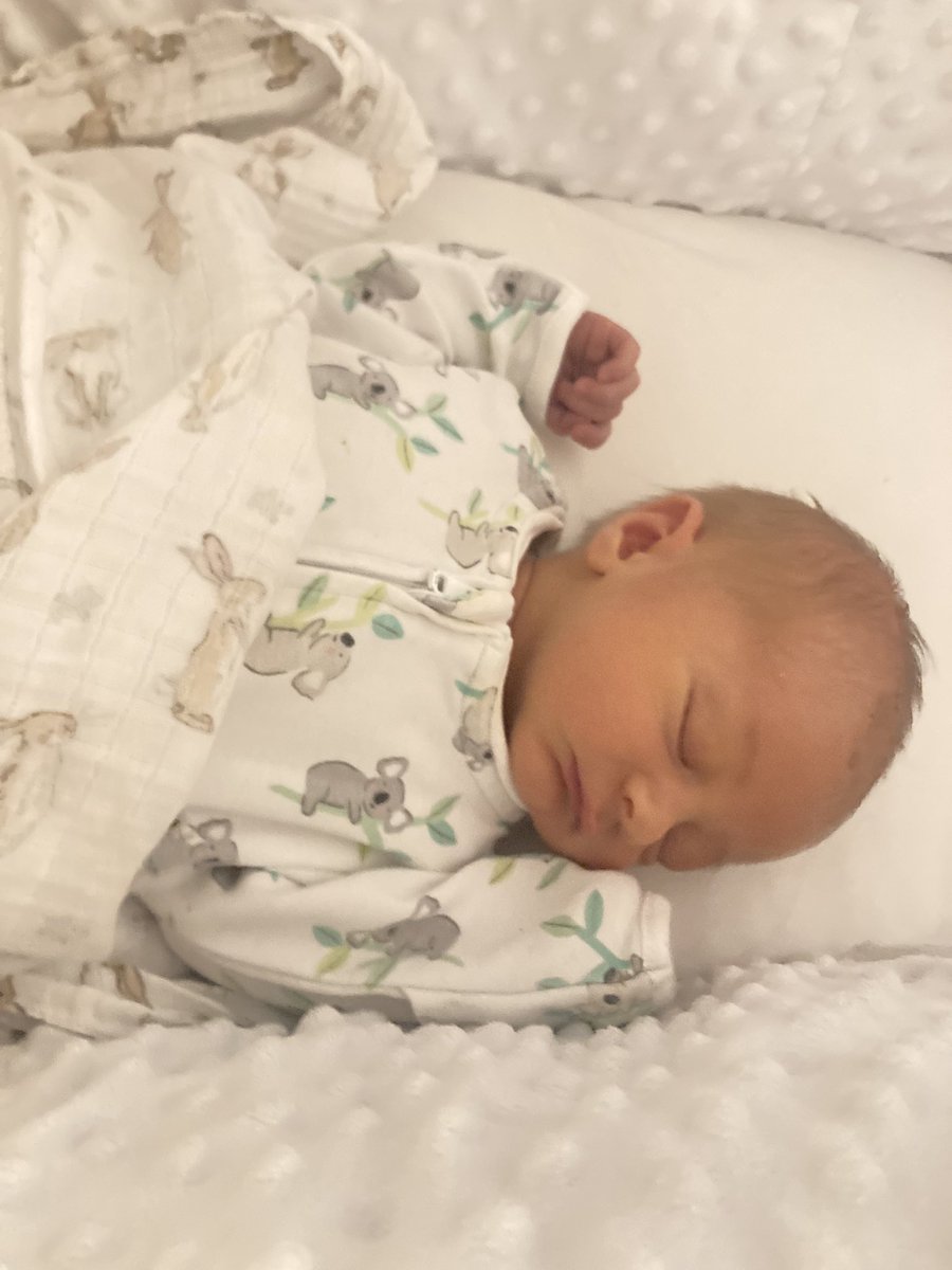 Matt Hoss tweet media