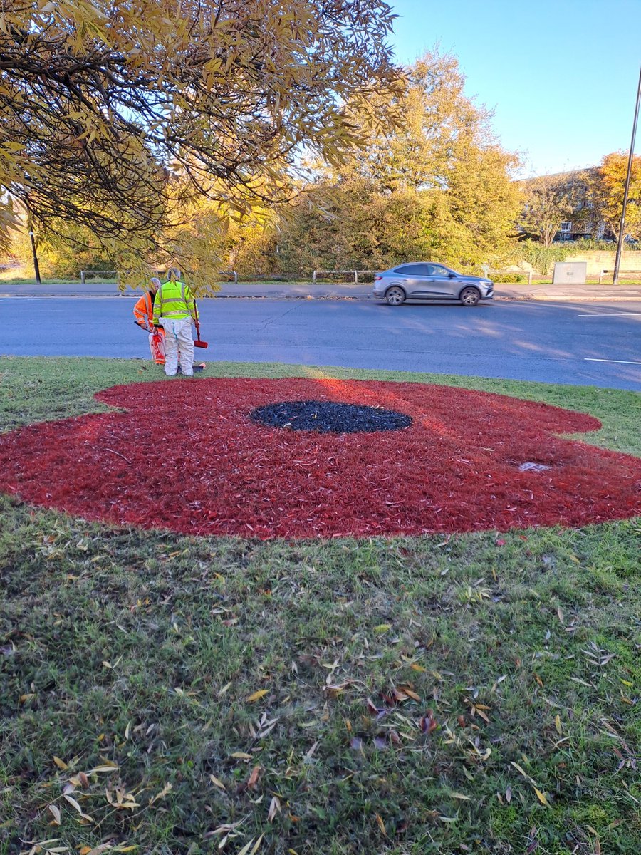How many of the poppy tributes for Remembrance Day have you seen across the city? 

Our teams have been out across the borough from Thorne to Conisbrough and everywhere in between painting 18 memorials with an environmentally-friendly material.