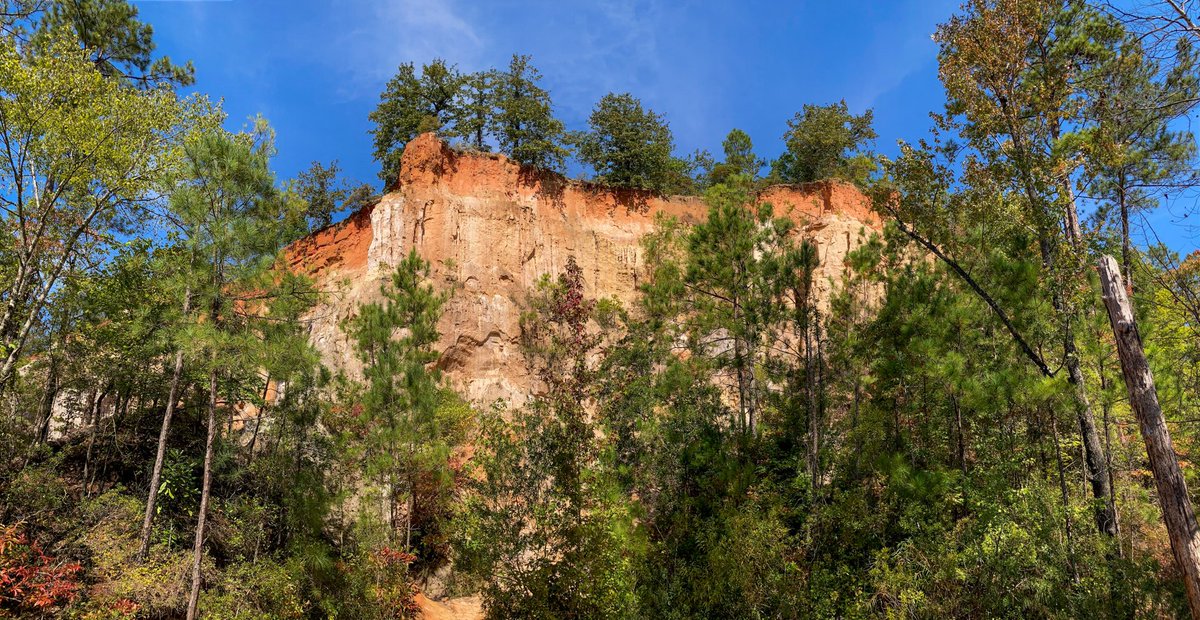 Exploring Macon tweet media