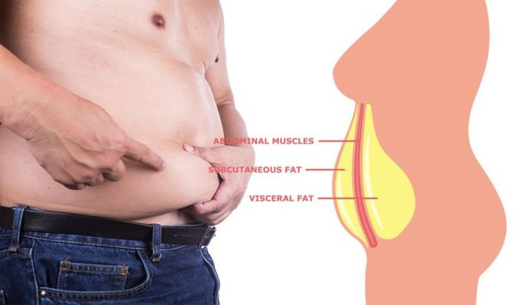 TheWarEnglish's tweet photo. Belly fat is a high risk for cancer, diabetes, heart disease, and early death.

But 95% fail to get rid of their belly permanently.

7 steps to drop your belly and get lean (permanently): https://t.co/Y0zRgyjq08