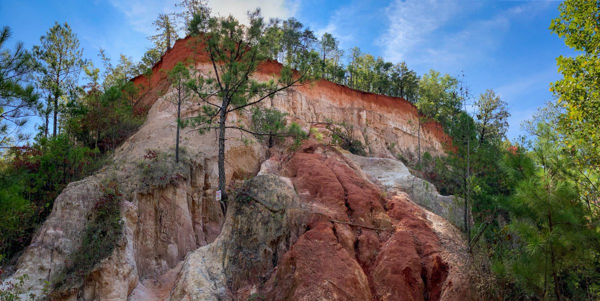 Exploring Macon tweet media