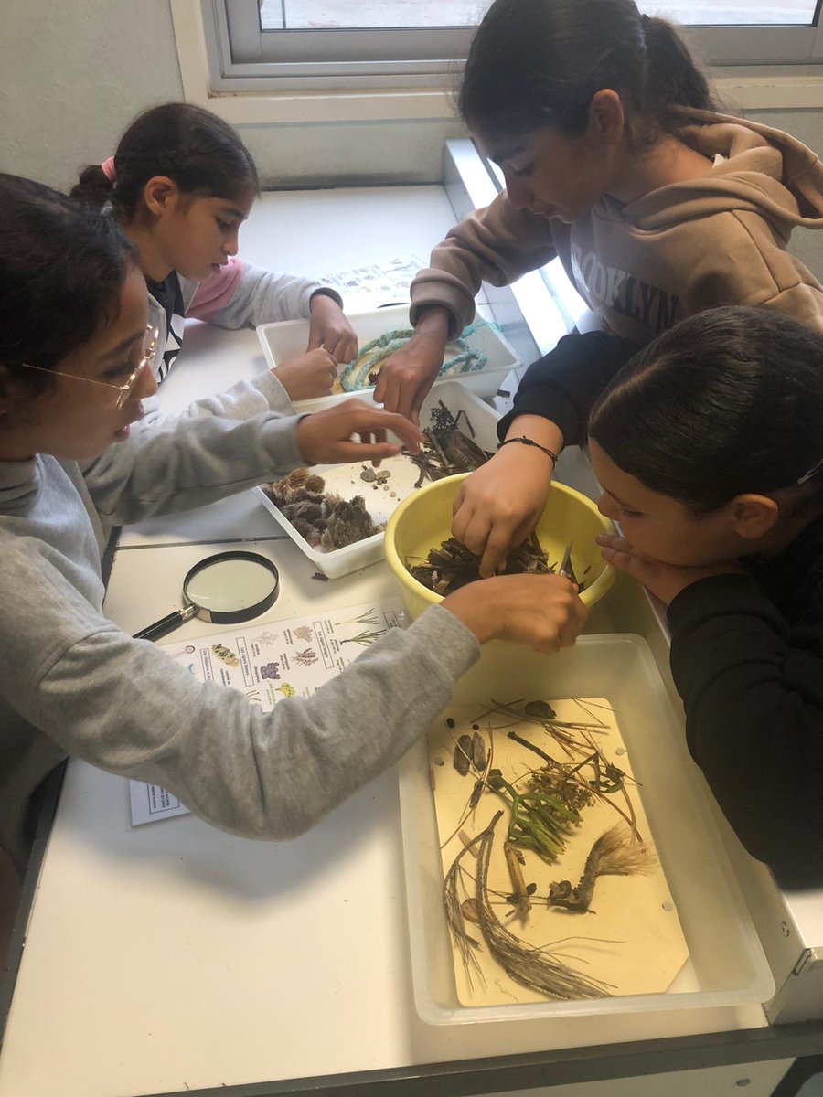 College_Jaubert's tweet photo. Activités sportives, activités manuelles, PSC1,visite du musée @oceanoMonaco, découverte de la biodiversité, autant d'ateliers proposés aux élèves du @College_Jaubert pendant les vacances d'automne https://t.co/3QH6NlobQf