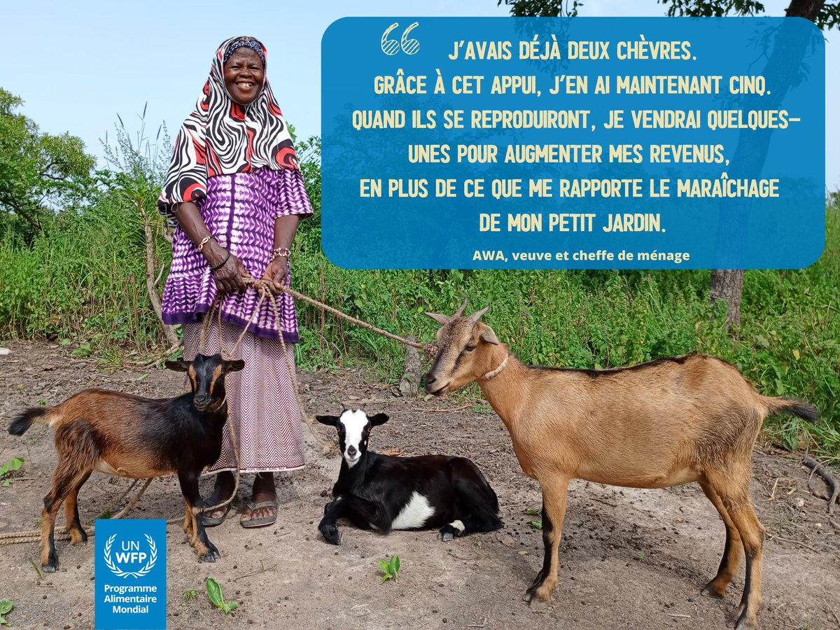 #Mali 🇲🇱 Avec l’appui de donateurs comme la 🇸🇪, <a href="/WFP_Mali/">WFP Mali</a> forment &amp; outillent des centaines de femmes pour mener des activités génératrices de revenus en lien avec la nutrition. 
A #Bougouni, au village de Sorona, Awa, 41 ans, veuve &amp; mère de 5 enfants a agrandi son cheptel.
