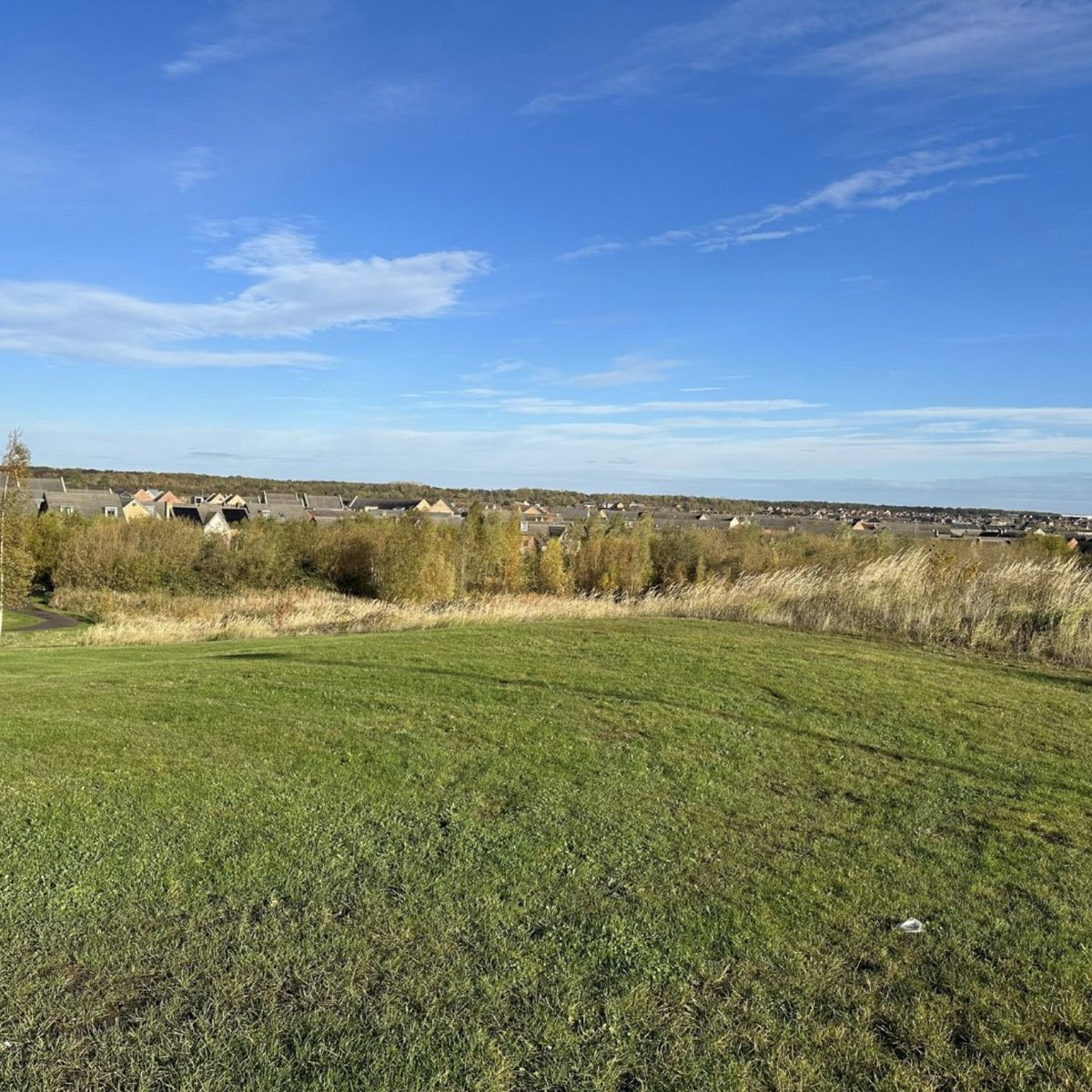 O&H Hampton tweet media