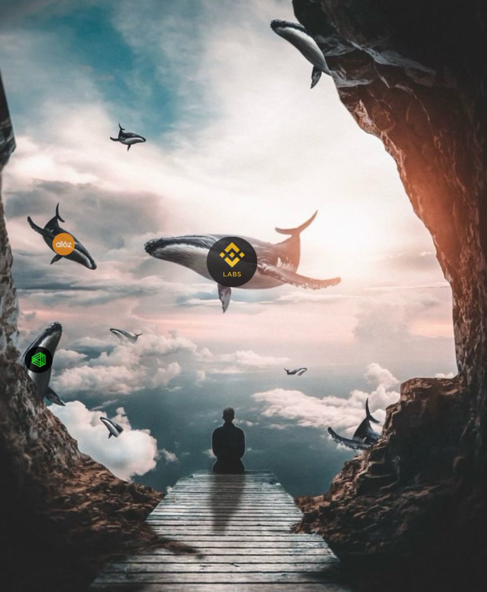 أين يضع صانع السوق أمواله بالكريبتو ؟ 🧠

إليك أسهل طريقة تعرف من خلالها
أين يضع صانع السوق أمواله بالكريبتو

فضل الثريد مهم جداً جداً 💎
وتابعني لكل جديد <a href="/Ashraf_Cryptome/">ASHRAF | CryptoMe</a>

🧵🕵️ ..