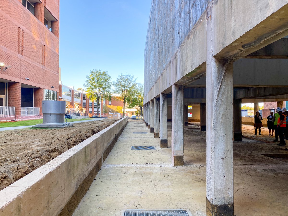 archimania tweet media