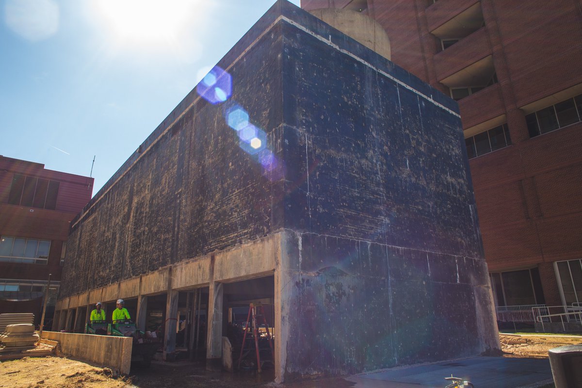 archimania tweet media