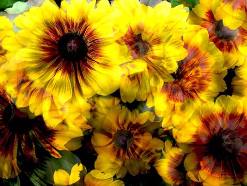 Lee Green Open Studios tweet media