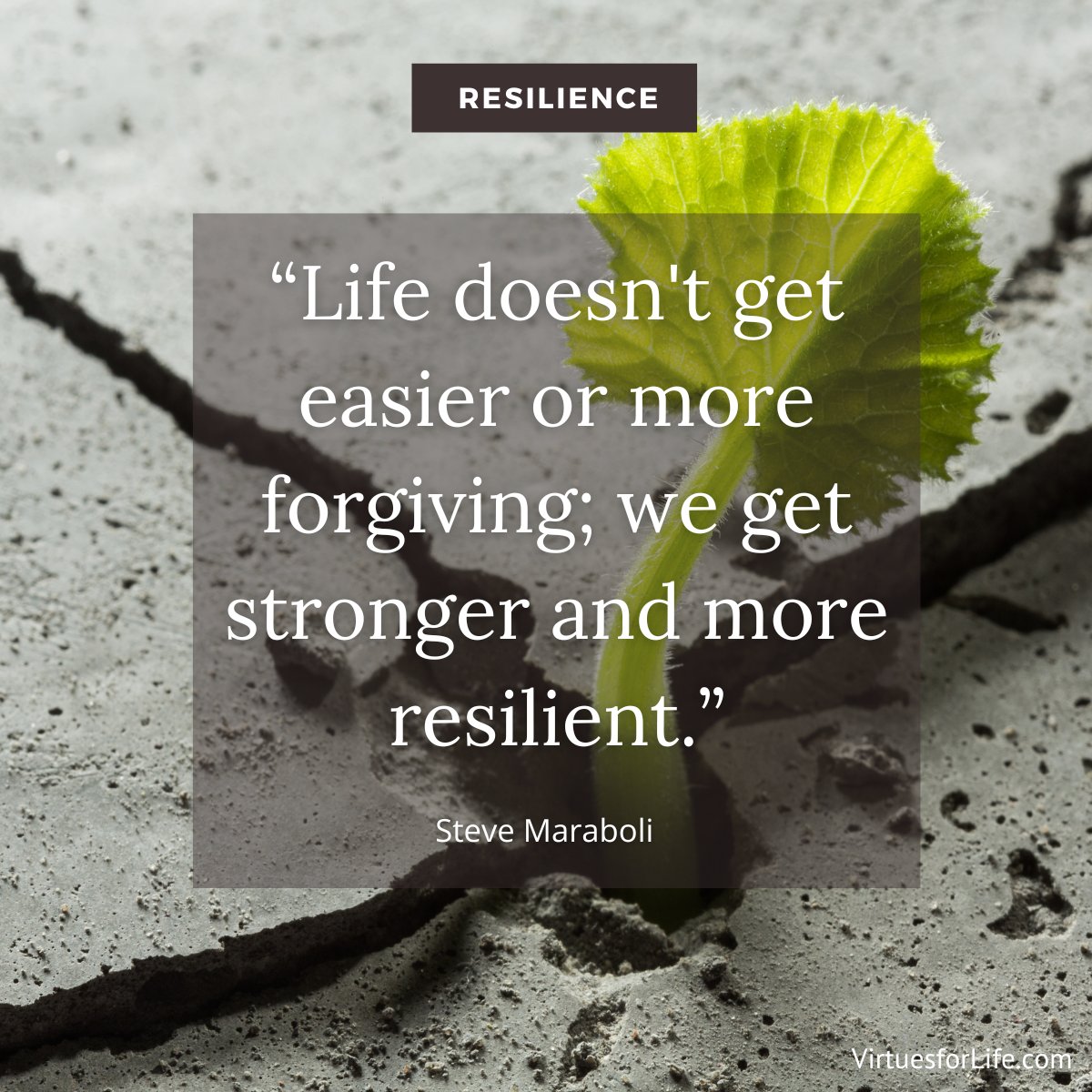 "Life doesn't get easier or more forgiving; we get stronger and more resilient." ~Steve Maraboli