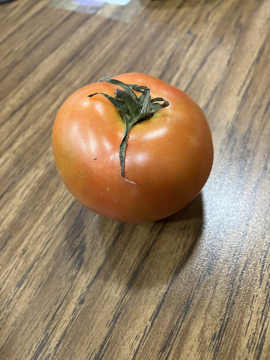 You know you’re loved when your student gifts you a tomato from her personal tomato plant at home. ❤️ Teachers get the most heartfelt gifts.