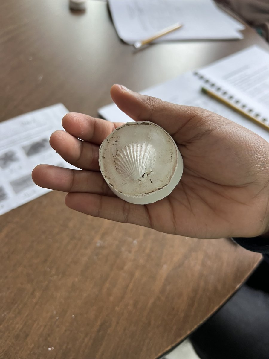 Grecco216's tweet photo. 1: roll clay. 2: flatten the clay. 3: put a shell in the clay to leave a mold. 4: cover the mold with plaster (minerals) let it sit over night (1 million years) to form a cast fossil @FOSSscience @SyracuseSchools @SCSDScience https://t.co/xdY5FGwp9L