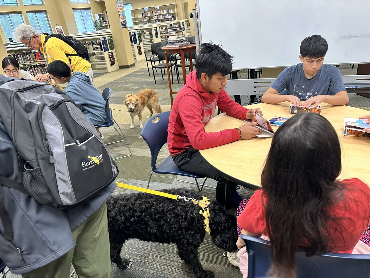 MrsD_MLIS's tweet photo. Love collaborating w/ the ELL dept, @SDLBACK, & @HandinPawAL. Our awesome English learners receiving even more support in the library w/the new collection built just for them plus sweet dog friends to read to. ALL students need access to great books! @ericfhines @TCSBoardofEd https://t.co/yNYkccGriq