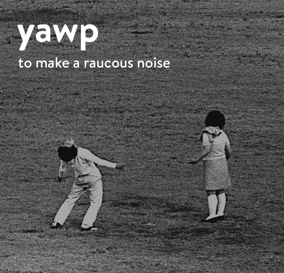 Merriam-Webster tweet media