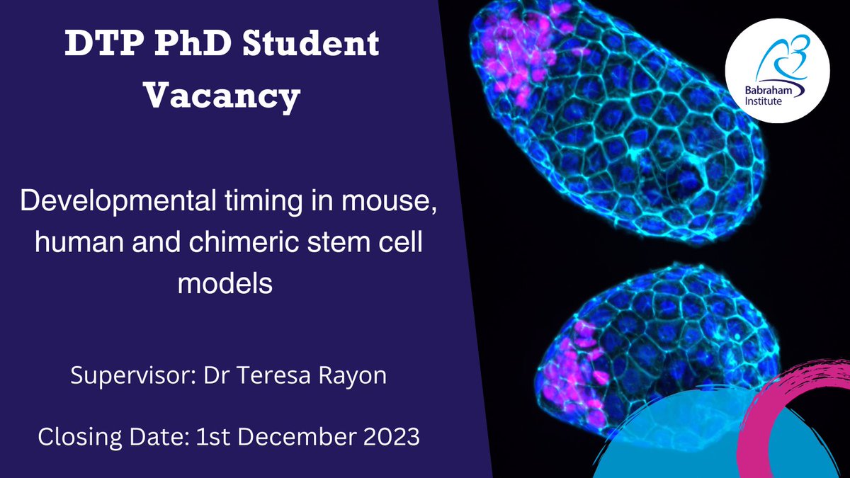 BabrahamInst's tweet photo. FUNDED PHD OPPORTUNITY: ‘Developmental timing in mouse, human and chimeric stem cell models’ with Dr Teresa Rayon
Apply by 1st December
Find out more: https://t.co/BQ44pdJfJb
#PhD #PhDVacancies #PhDStudents #PhDProjects @t_rayon https://t.co/RsHRjQhIyY