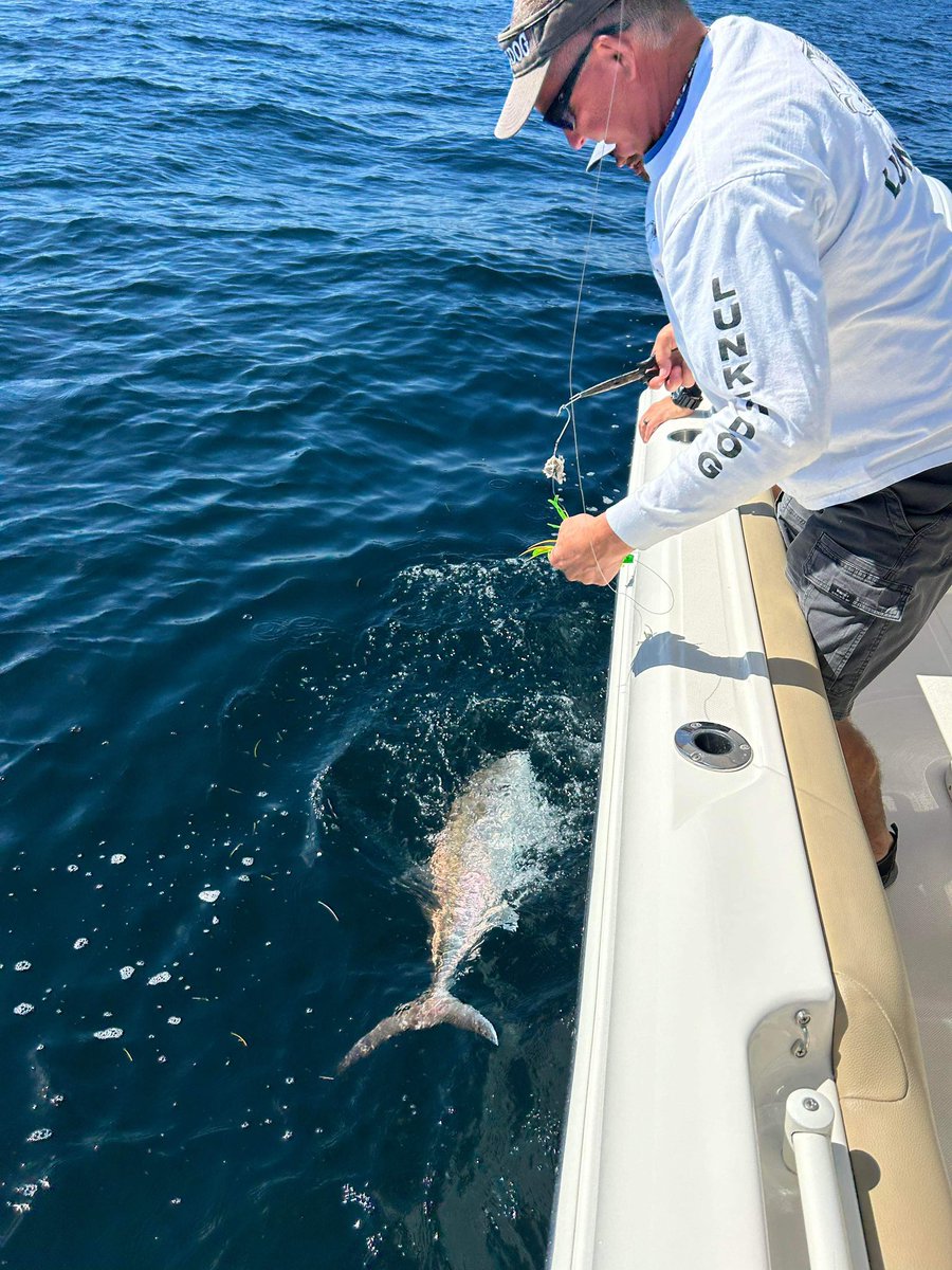 TheMulletRun's tweet photo. Good day for @tsrt10 The Horsecranker on his big Barracuda trip with Cricco. We are all very proud of them. Seriously. #fishingdaily #fishoftheweek #Wednesdayvibe #catchandrelease https://t.co/5o1eHFWzOg
