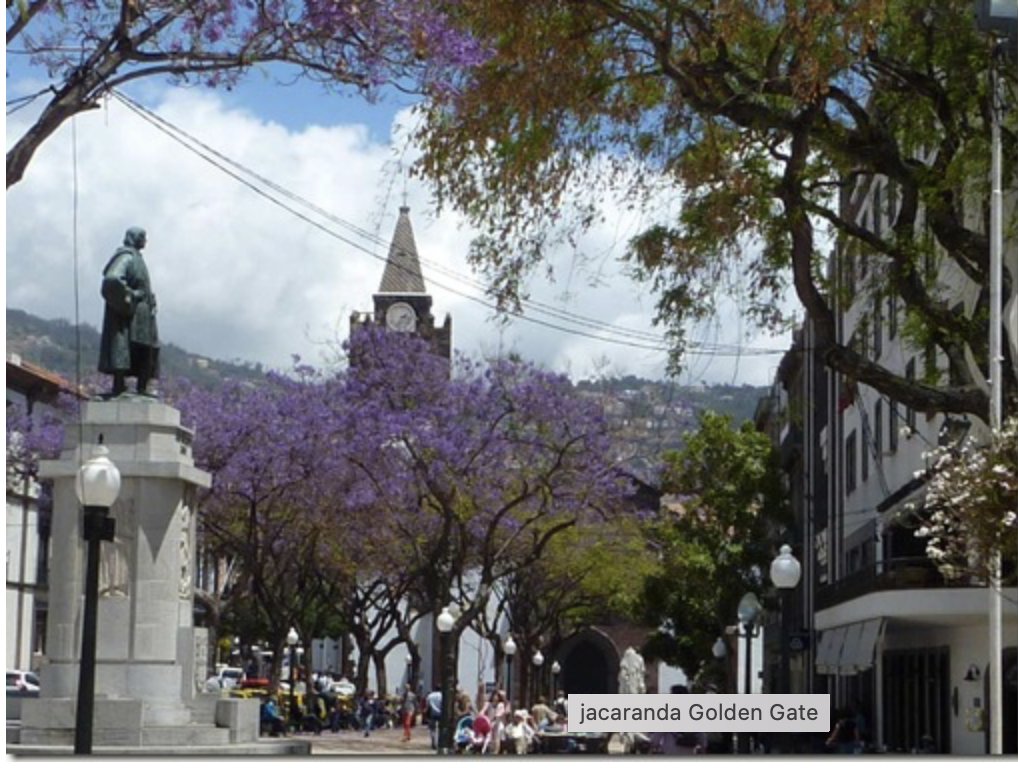 David Birkbeck tweet media