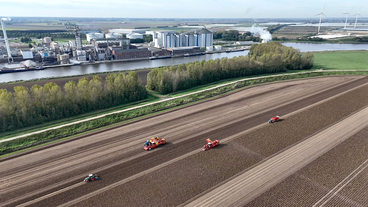Tractorspotter's tweet photo. Aardappelen rooien met een Grimme Varitron 470 TT Gen3 bij Bartelen Agro uit Oud Gastel 
Video-> https://t.co/Os7sj53BrI https://t.co/7SKnGN0MKr