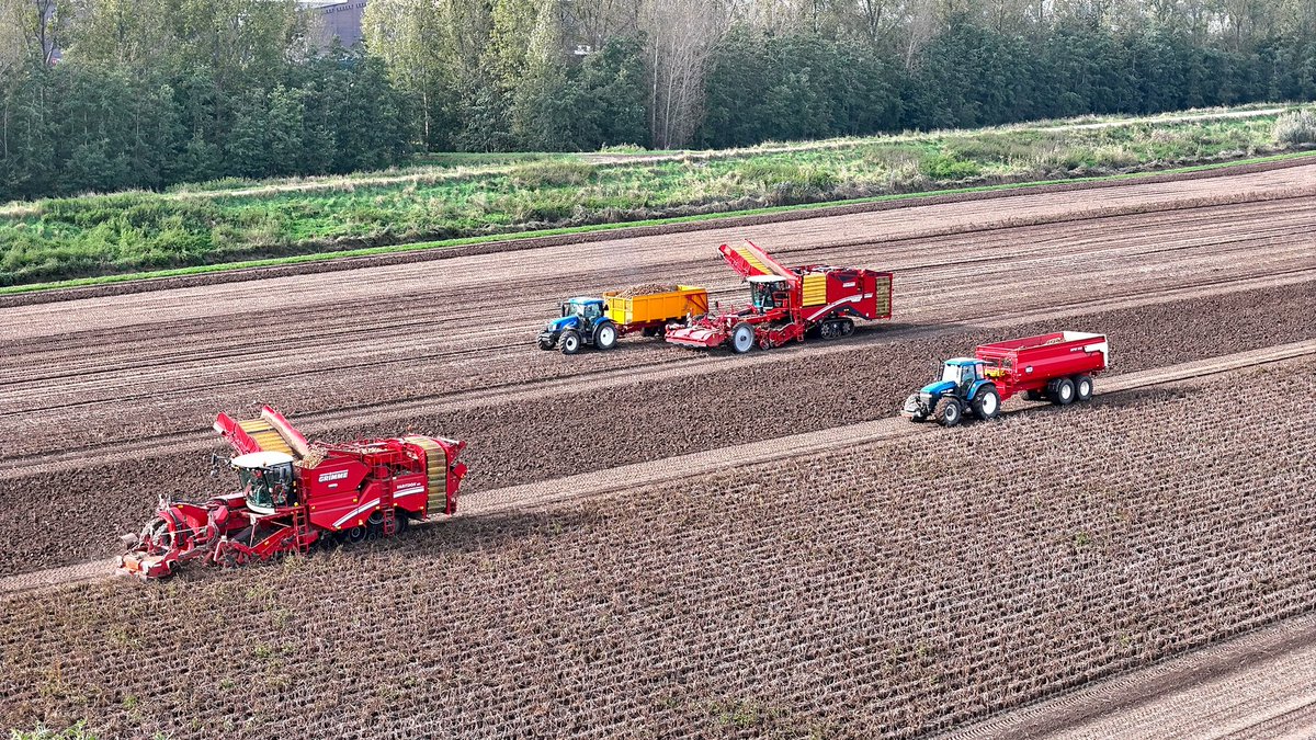 Tractorspotter's tweet photo. Aardappelen rooien met een Grimme Varitron 470 TT Gen3 bij Bartelen Agro uit Oud Gastel 
Video-> https://t.co/Os7sj53BrI https://t.co/7SKnGN0MKr