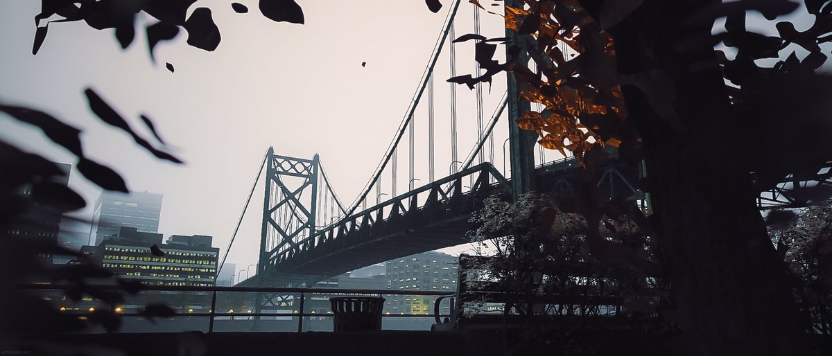 P R O G R Ξ S S tweet media