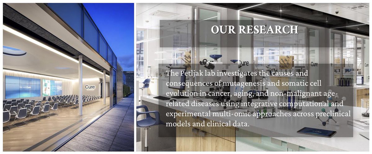 📢 Our team at NYU has grown but we have more positions open! 🟢 Senior Scientist ~65-89k 🟢 Team: petljaklab.com 🟢 Where: launching @nyugrossman premier lab spaces in CURE building (cure.345pas.com) 🟢 Apply: nature.com/naturecareers/…