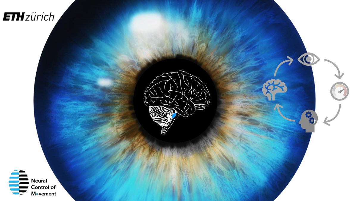 Did you know we can volitionally control🧠the brain’s ↕️arousal system 🔵#LocusCoeruleus via 💭mental strategies learned using 👁️pupil-based biofeedback?

Check our latest article published in <a href="/NatureHumBehav/">Nature Human Behaviour</a> 🫵➡️rdcu.be/dqAz9

<a href="/NatureNV/">Nature News & Views</a> <a href="/NeuroscienceNew/">Neuroscience News</a> <a href="/ScienceNews/">Science News</a>