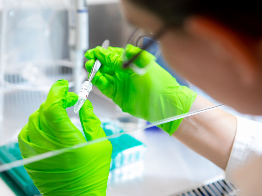 Sara Hallin, Kateryna Davydenko, Jiasui Zhan, Karina Clemenssen, Grace Pold and Christopher Jones have received grants from <a href="/Vetenskapsradet/">Vetenskapsrådet</a> and <a href="/FormasForsk/">Formas, ett forskningsråd för hållbar utveckling.</a>. New results on harmful fungi, nitrous oxide emissions, invasive pests, tree establishment and denitrification will come!