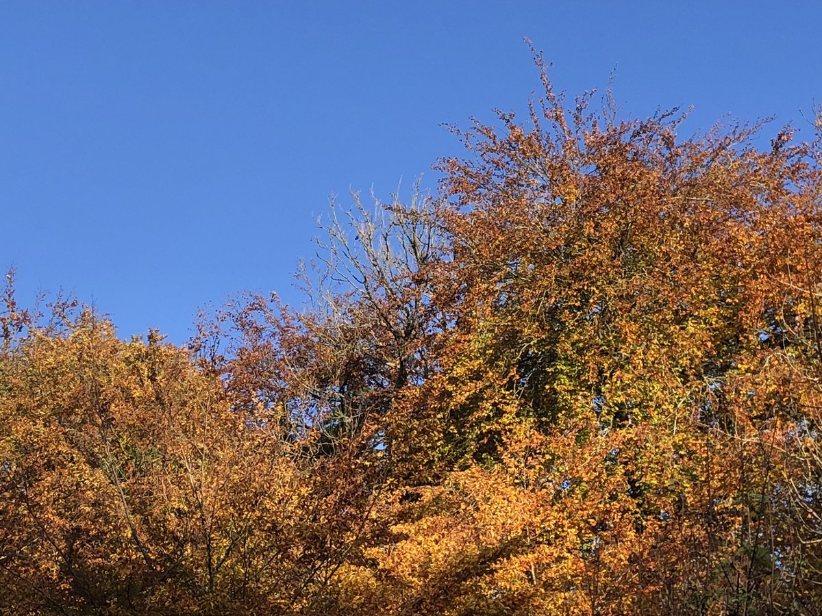 Daniel Kronenberg 💙 tweet media