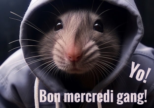 colombinepier's tweet photo. Bon mercredi tout le monde!🍁🍂🌾
#IlFaitFroid🥾🧦🧤🧣
#ligue_des_optimistes https://t.co/wyoTEruX96