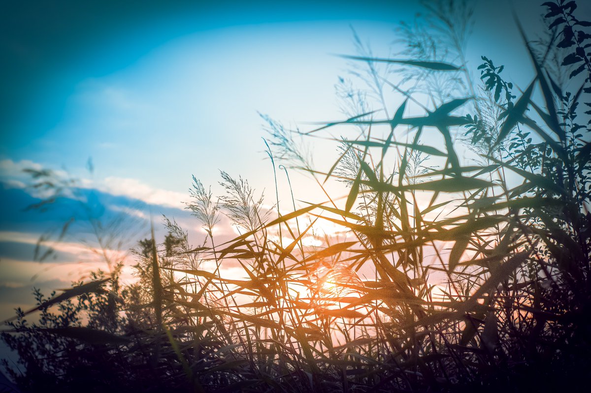 Eye_drops_flow's tweet image. 今日は秋の風を感じました🍂