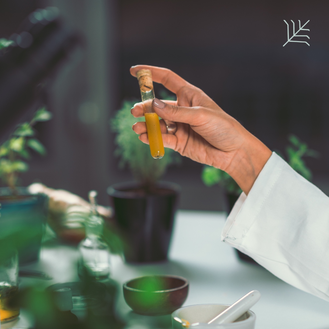 MetaMedix_'s tweet photo. Unearth the boundless potential of plant-inspired products where science and nature harmonize, guiding us toward optimal health and balance. 🌱🌍💚 #PlantInspiredMedicine #NaturalHealing https://t.co/QkCaZVF5xH