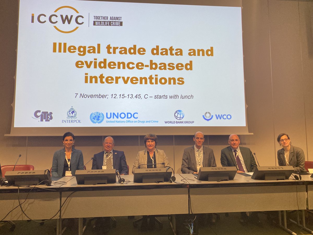 ¡Ayer en nuestro evento paralelo #ICCWC en @CITES SC77! @CITES_espanol y @unodcesp discutieron la importancia de los datos de comercio ilegal y las intervenciones basadas en la evidencia para combatir los delitos contra la vida silvestre. 📊