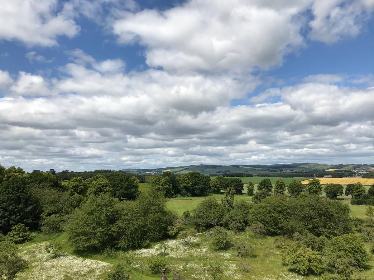 What does land mean to you? My #Land. My #Home. My #Community. My #Work. My #Escape. We're sharing stories from some of our favourite people & places on how they have used land to help their local area! Check out our website MyLand.Scot #MyLandScotland 🏴󠁧󠁢󠁳󠁣󠁴󠁿 ✨